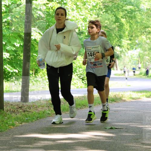 17.05.2025 - Störlauf Strokosch-Dieckow http://msf.ph/oto/7858552 17.05.2025 14:52:56 Laufen 146, 6 meine-sportfotos.de