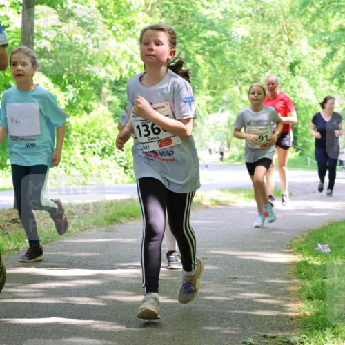 17.05.2025 - Störlauf Strokosch-Dieckow http://msf.ph/oto/7858625 17.05.2025 14:53:40 Laufen 2025, 367, 200, 136, 2 meine-sportfotos.de