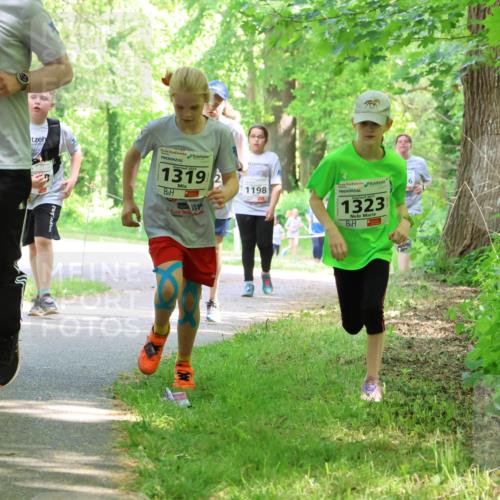 17.05.2025 - Störlauf Strokosch-Dieckow http://msf.ph/oto/7858810 17.05.2025 14:55:17 Laufen 2025, 1670, 13192, 1198, 2025, 1323 meine-sportfotos.de