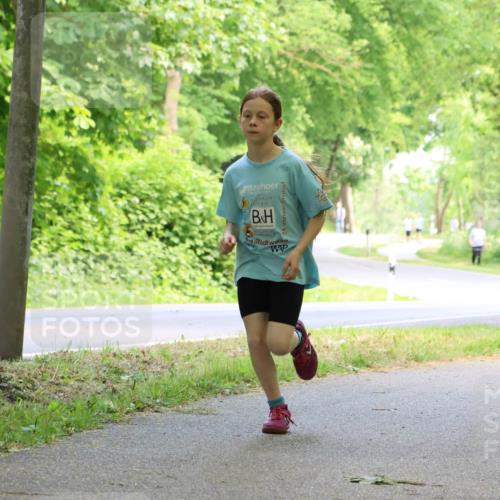 17.05.2025 - Störlauf Strokosch-Dieckow http://msf.ph/oto/7858963 17.05.2025 14:57:12 Laufen  meine-sportfotos.de