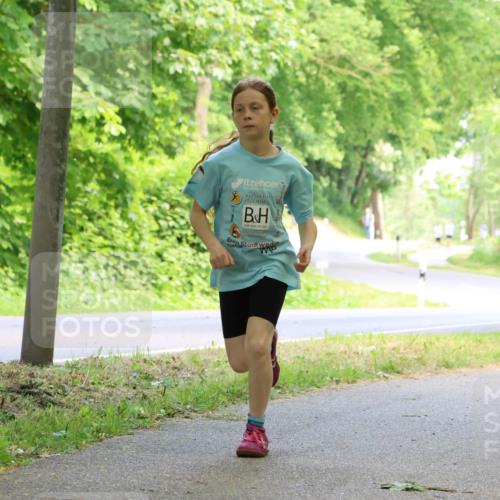 17.05.2025 - Störlauf Strokosch-Dieckow http://msf.ph/oto/7858970 17.05.2025 14:57:13 Laufen  meine-sportfotos.de
