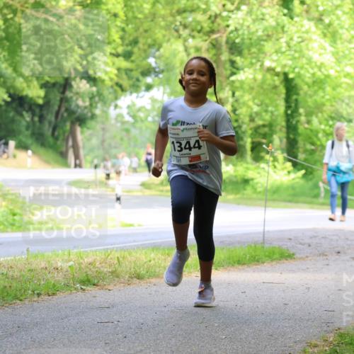 17.05.2025 - Störlauf Strokosch-Dieckow http://msf.ph/oto/7858992 17.05.2025 14:57:28 Laufen 2025, 1344 meine-sportfotos.de