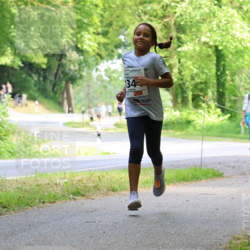 17.05.2025 - Störlauf Strokosch-Dieckow http://msf.ph/oto/7858996 17.05.2025 14:57:29 Laufen 134 meine-sportfotos.de