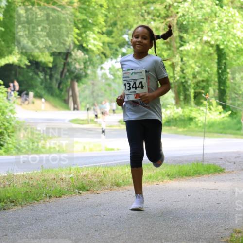 17.05.2025 - Störlauf Strokosch-Dieckow http://msf.ph/oto/7858998 17.05.2025 14:57:29 Laufen 1344 meine-sportfotos.de