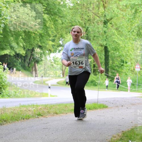 17.05.2025 - Störlauf Strokosch-Dieckow http://msf.ph/oto/7859041 17.05.2025 14:58:05 Laufen 1636 meine-sportfotos.de