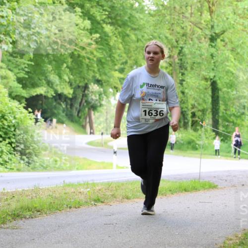 17.05.2025 - Störlauf Strokosch-Dieckow http://msf.ph/oto/7859049 17.05.2025 14:58:06 Laufen 2025, 1636 meine-sportfotos.de