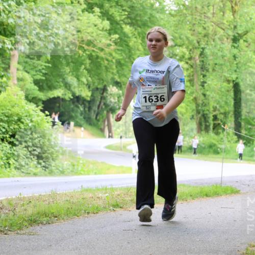 17.05.2025 - Störlauf Strokosch-Dieckow http://msf.ph/oto/7859056 17.05.2025 14:58:06 Laufen 1636 meine-sportfotos.de