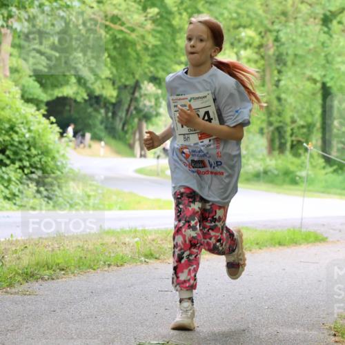 17.05.2025 - Störlauf Strokosch-Dieckow http://msf.ph/oto/7859087 17.05.2025 14:58:41 Laufen 4, 2, 5 meine-sportfotos.de