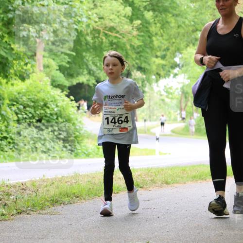 17.05.2025 - Störlauf Strokosch-Dieckow http://msf.ph/oto/7859096 17.05.2025 14:58:47 Laufen 2025, 1464 meine-sportfotos.de