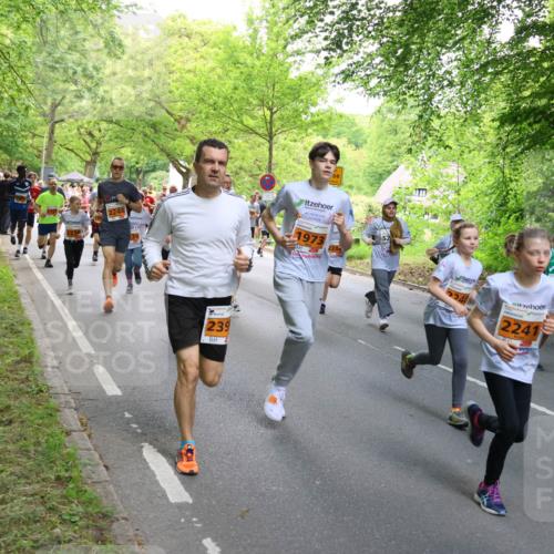 17.05.2025 - Störlauf Strokosch-Dieckow http://msf.ph/oto/7859198 17.05.2025 15:01:16 Laufen 2246, 1973, 239, 2241 meine-sportfotos.de