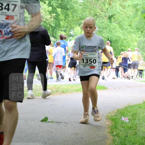 17.05.2025 - Störlauf Strokosch-Dieckow http://msf.ph/oto/7859393 17.05.2025 15:02:34 Laufen 2025, 1347, 2025, 1350 meine-sportfotos.de
