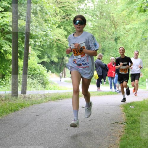 17.05.2025 - Störlauf Strokosch-Dieckow http://msf.ph/oto/7859709 17.05.2025 15:22:02 Laufen 236, 1927 meine-sportfotos.de