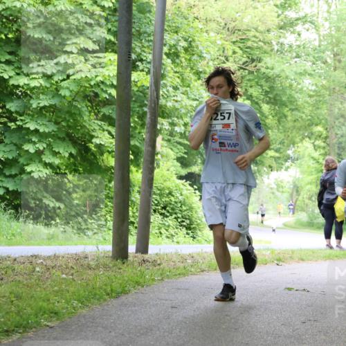 17.05.2025 - Störlauf Strokosch-Dieckow http://msf.ph/oto/7859810 17.05.2025 15:22:44 Laufen 257, 2199 meine-sportfotos.de