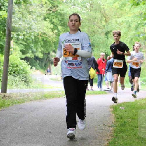 17.05.2025 - Störlauf Strokosch-Dieckow http://msf.ph/oto/7859821 17.05.2025 15:22:47 Laufen 2256, 1936 meine-sportfotos.de