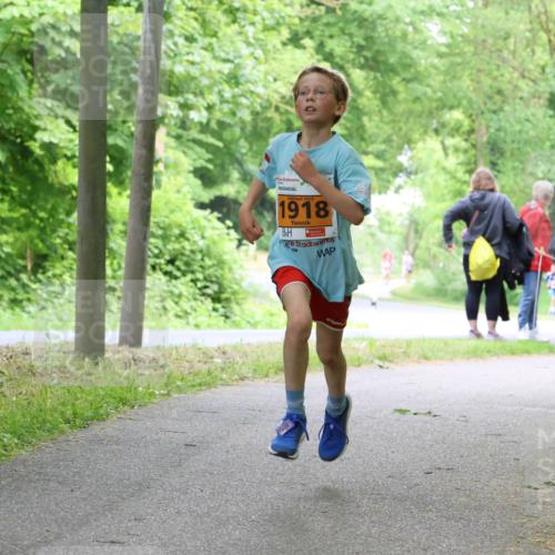 17.05.2025 - Störlauf Strokosch-Dieckow http://msf.ph/oto/7859886 17.05.2025 15:23:03 Laufen 2025, 1918 meine-sportfotos.de