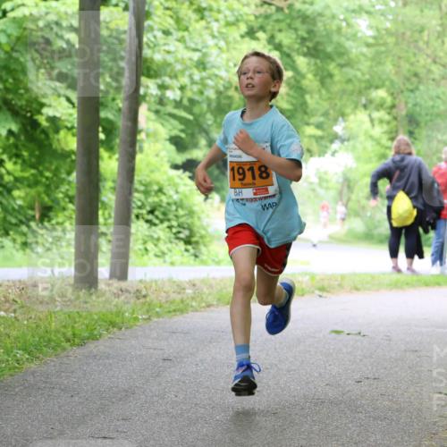 17.05.2025 - Störlauf Strokosch-Dieckow http://msf.ph/oto/7859891 17.05.2025 15:23:03 Laufen 2025, 1918 meine-sportfotos.de