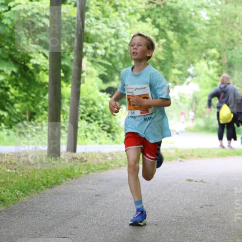 17.05.2025 - Störlauf Strokosch-Dieckow http://msf.ph/oto/7859895 17.05.2025 15:23:03 Laufen 0 meine-sportfotos.de