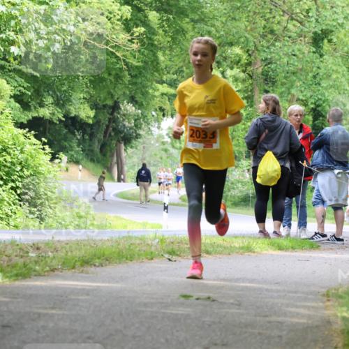 17.05.2025 - Störlauf Strokosch-Dieckow http://msf.ph/oto/7859980 17.05.2025 15:23:24 Laufen 2033 meine-sportfotos.de
