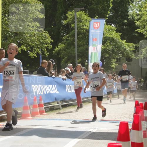 17.05.2025 - Störlauf H.Heesch http://msf.ph/oto/7860090 17.05.2025 14:54:28 Ziel  meine-sportfotos.de