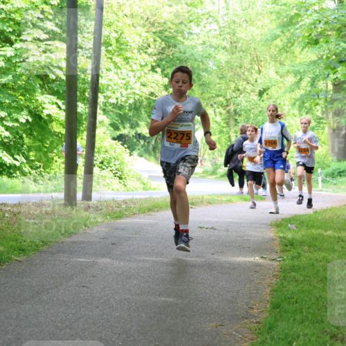 17.05.2025 - Störlauf Strokosch-Dieckow http://msf.ph/oto/7860098 17.05.2025 15:24:05 Laufen 2275, 2166, 2284 meine-sportfotos.de