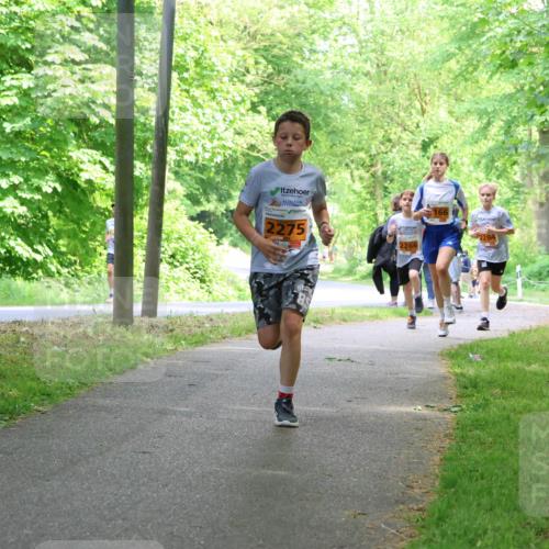 17.05.2025 - Störlauf Strokosch-Dieckow http://msf.ph/oto/7860105 17.05.2025 15:24:05 Laufen 2275, 2266, 166, 2284 meine-sportfotos.de