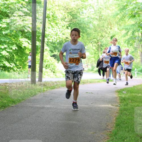 17.05.2025 - Störlauf Strokosch-Dieckow http://msf.ph/oto/7860110 17.05.2025 15:24:05 Laufen 2275, 2266 meine-sportfotos.de