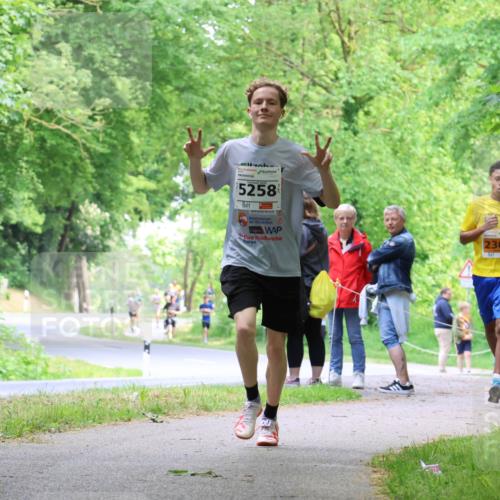 17.05.2025 - Störlauf Strokosch-Dieckow http://msf.ph/oto/7860145 17.05.2025 15:24:13 Laufen 5258, 2300, 2366 meine-sportfotos.de