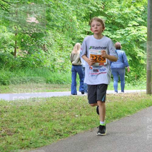 17.05.2025 - Störlauf Strokosch-Dieckow http://msf.ph/oto/7860242 17.05.2025 15:24:34 Laufen 3265 meine-sportfotos.de