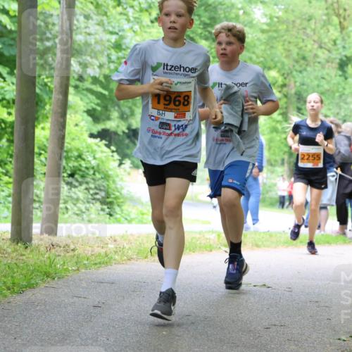 17.05.2025 - Störlauf Strokosch-Dieckow http://msf.ph/oto/7860515 17.05.2025 15:25:41 Laufen 1968, 2255 meine-sportfotos.de