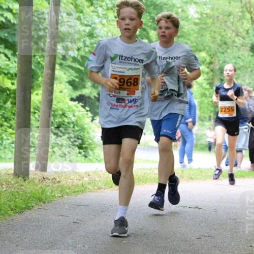 17.05.2025 - Störlauf Strokosch-Dieckow http://msf.ph/oto/7860519 17.05.2025 15:25:41 Laufen 2025, 968, 2255 meine-sportfotos.de
