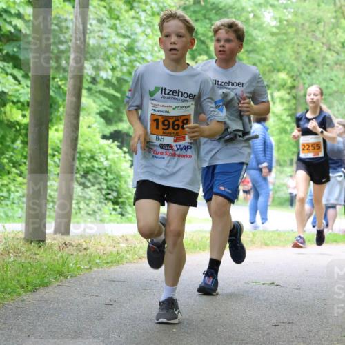 17.05.2025 - Störlauf Strokosch-Dieckow http://msf.ph/oto/7860523 17.05.2025 15:25:41 Laufen 2025, 1968, 2255 meine-sportfotos.de