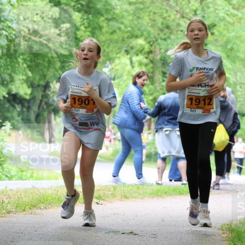 17.05.2025 - Störlauf Strokosch-Dieckow http://msf.ph/oto/7860574 17.05.2025 15:25:48 Laufen 1901, 1912, 205 meine-sportfotos.de