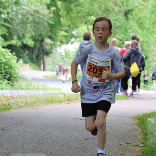 17.05.2025 - Störlauf Strokosch-Dieckow http://msf.ph/oto/7860584 17.05.2025 15:25:54 Laufen 2025, 205 meine-sportfotos.de