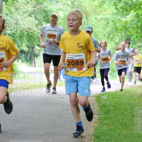 17.05.2025 - Störlauf Strokosch-Dieckow http://msf.ph/oto/7860631 17.05.2025 15:26:01 Laufen 1843, 5, 2025, 2095, 2025, 2089, 1897, 10 meine-sportfotos.de