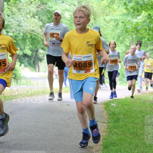 17.05.2025 - Störlauf Strokosch-Dieckow http://msf.ph/oto/7860635 17.05.2025 15:26:01 Laufen 2025, 2095, 18, 2025, 2089, 1897 meine-sportfotos.de