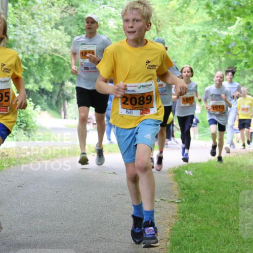 17.05.2025 - Störlauf Strokosch-Dieckow http://msf.ph/oto/7860638 17.05.2025 15:26:01 Laufen 2025, 2095, 2025, 2089, 1897, 1910 meine-sportfotos.de