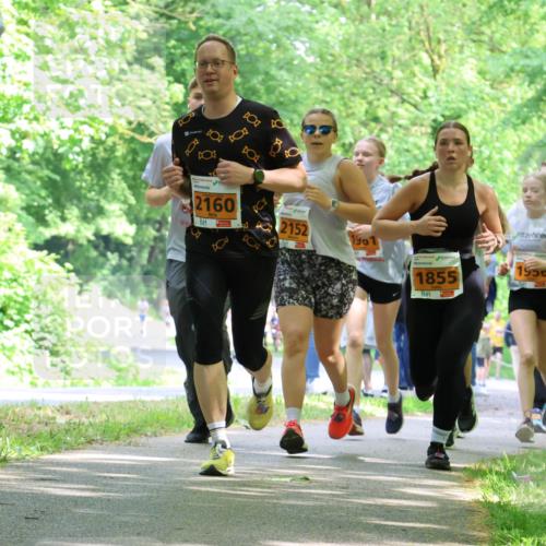 17.05.2025 - Störlauf Strokosch-Dieckow http://msf.ph/oto/7860852 17.05.2025 15:26:44 Laufen 6, 88, 2160, 2152, 1901, 1855, 1950, 2289 meine-sportfotos.de