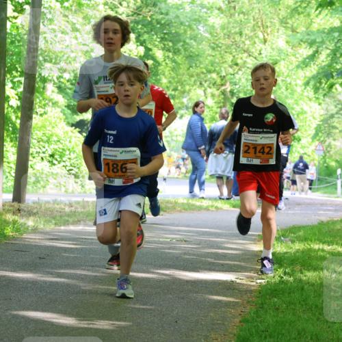 17.05.2025 - Störlauf Strokosch-Dieckow http://msf.ph/oto/7860923 17.05.2025 15:26:52 Laufen 2397, 12, 186, 2142 meine-sportfotos.de