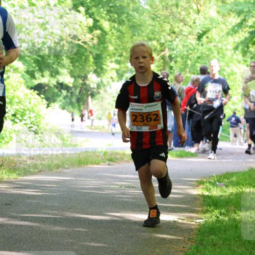 17.05.2025 - Störlauf Strokosch-Dieckow http://msf.ph/oto/7860948 17.05.2025 15:26:58 Laufen 2025, 215, 2362, 5267, 5268 meine-sportfotos.de