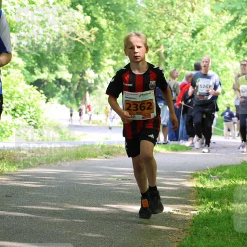 17.05.2025 - Störlauf Strokosch-Dieckow http://msf.ph/oto/7860952 17.05.2025 15:26:58 Laufen 2025, 215, 2025, 2362, 5267, 526 meine-sportfotos.de