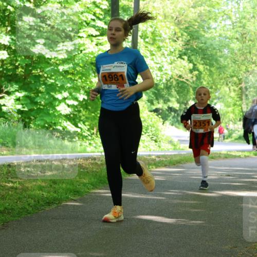 17.05.2025 - Störlauf Strokosch-Dieckow http://msf.ph/oto/7861299 17.05.2025 15:28:27 Laufen 1981, 2351 meine-sportfotos.de