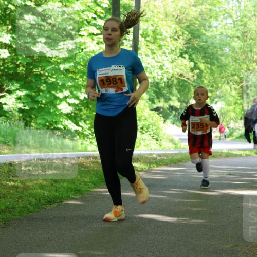 17.05.2025 - Störlauf Strokosch-Dieckow http://msf.ph/oto/7861301 17.05.2025 15:28:27 Laufen 1981, 2351 meine-sportfotos.de