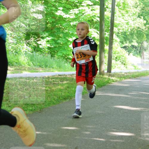 17.05.2025 - Störlauf Strokosch-Dieckow http://msf.ph/oto/7861311 17.05.2025 15:28:28 Laufen 981, 235 meine-sportfotos.de