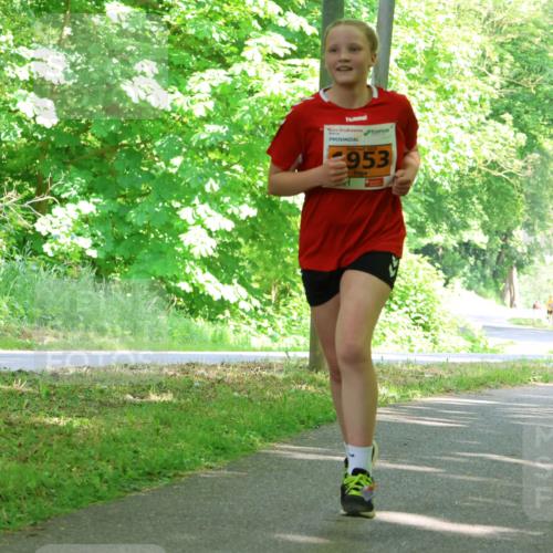 17.05.2025 - Störlauf Strokosch-Dieckow http://msf.ph/oto/7861541 17.05.2025 15:30:09 Laufen 953 meine-sportfotos.de