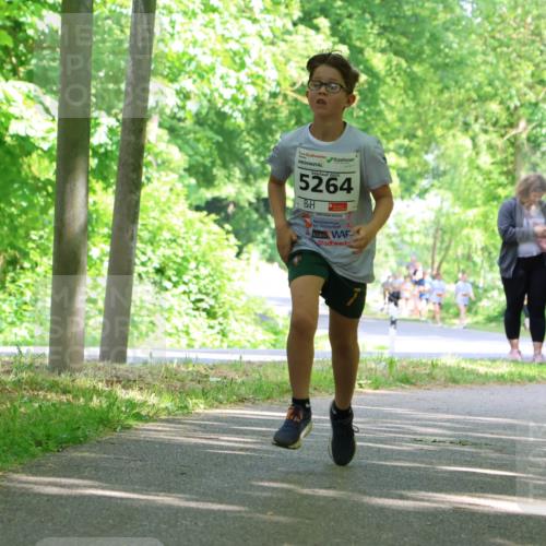 17.05.2025 - Störlauf Strokosch-Dieckow http://msf.ph/oto/7861565 17.05.2025 15:30:27 Laufen 5264, 25 meine-sportfotos.de