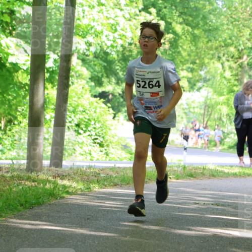 17.05.2025 - Störlauf Strokosch-Dieckow http://msf.ph/oto/7861568 17.05.2025 15:30:27 Laufen 2025, 5264 meine-sportfotos.de