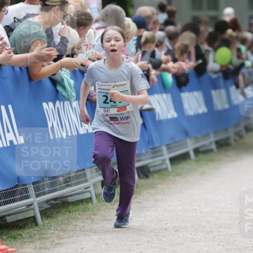 17.05.2025 - Störlauf H.Heesch http://msf.ph/oto/7864627 17.05.2025 13:41:44 Ziel  meine-sportfotos.de