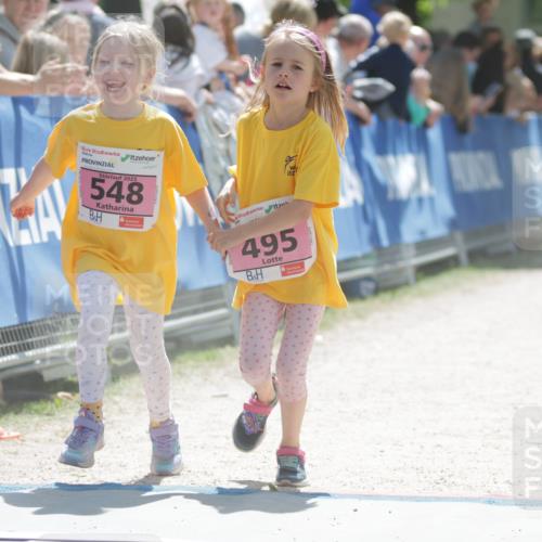17.05.2025 - Störlauf H.Heesch http://msf.ph/oto/7865131 17.05.2025 14:02:25 Ziel  meine-sportfotos.de