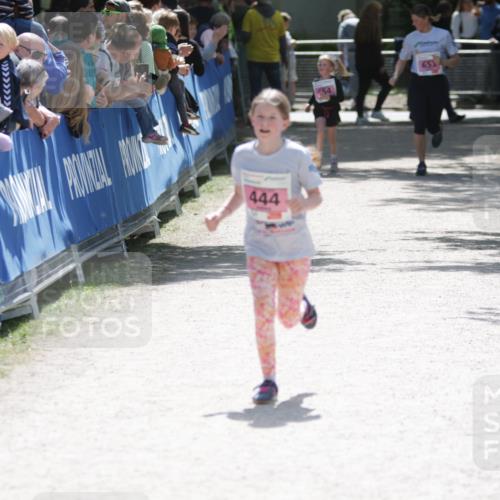 17.05.2025 - Störlauf H.Heesch http://msf.ph/oto/7865472 17.05.2025 14:04:50 Ziel  meine-sportfotos.de