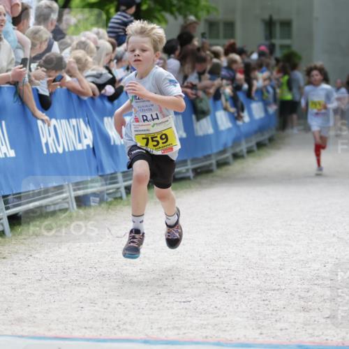 17.05.2025 - Störlauf H.Heesch http://msf.ph/oto/7866114 17.05.2025 14:10:27 Ziel  meine-sportfotos.de